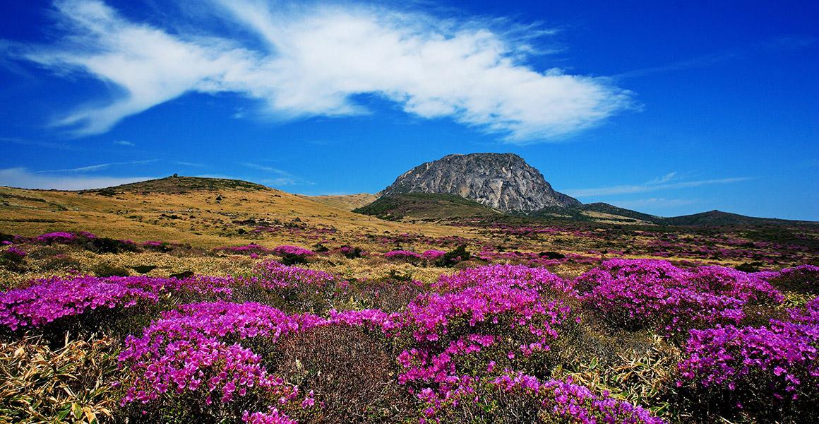 Hallasan Volcano