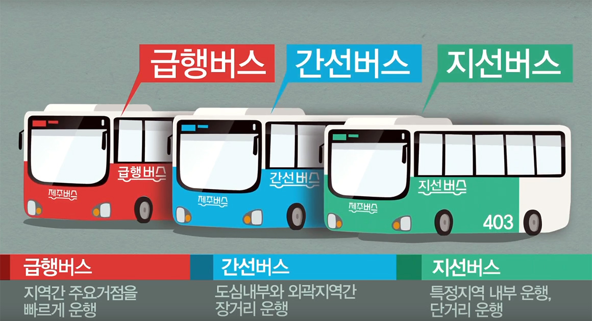 Express buses (red), intercity and city buses (blue), regional buses (green). Tourism-related buses are yellow.