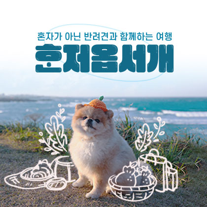 혼자가 아닌 반려견과 함께하는 여행 혼저옵서개