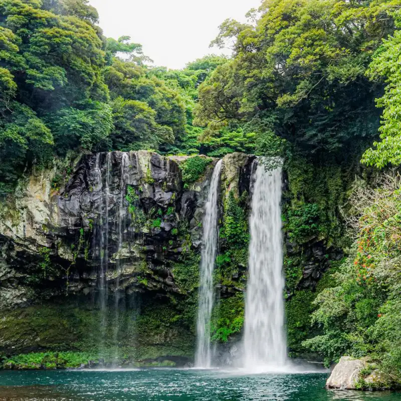 천지연폭포 썸네일 이미지